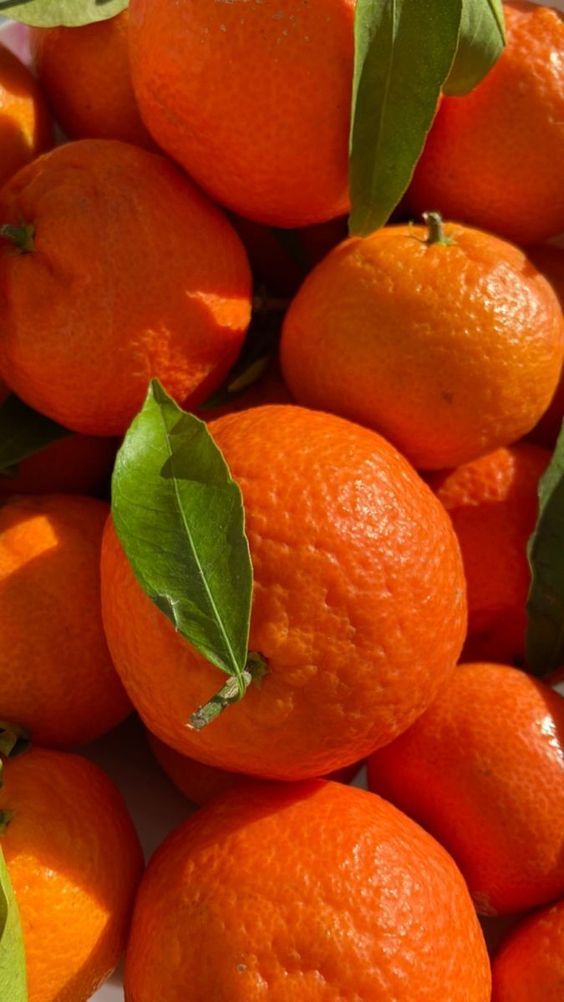 tes jumlah data 11 mei update yhuuu