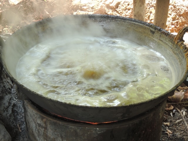 Kelapa
