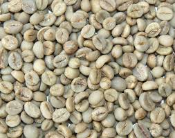 Kopi Arabica
