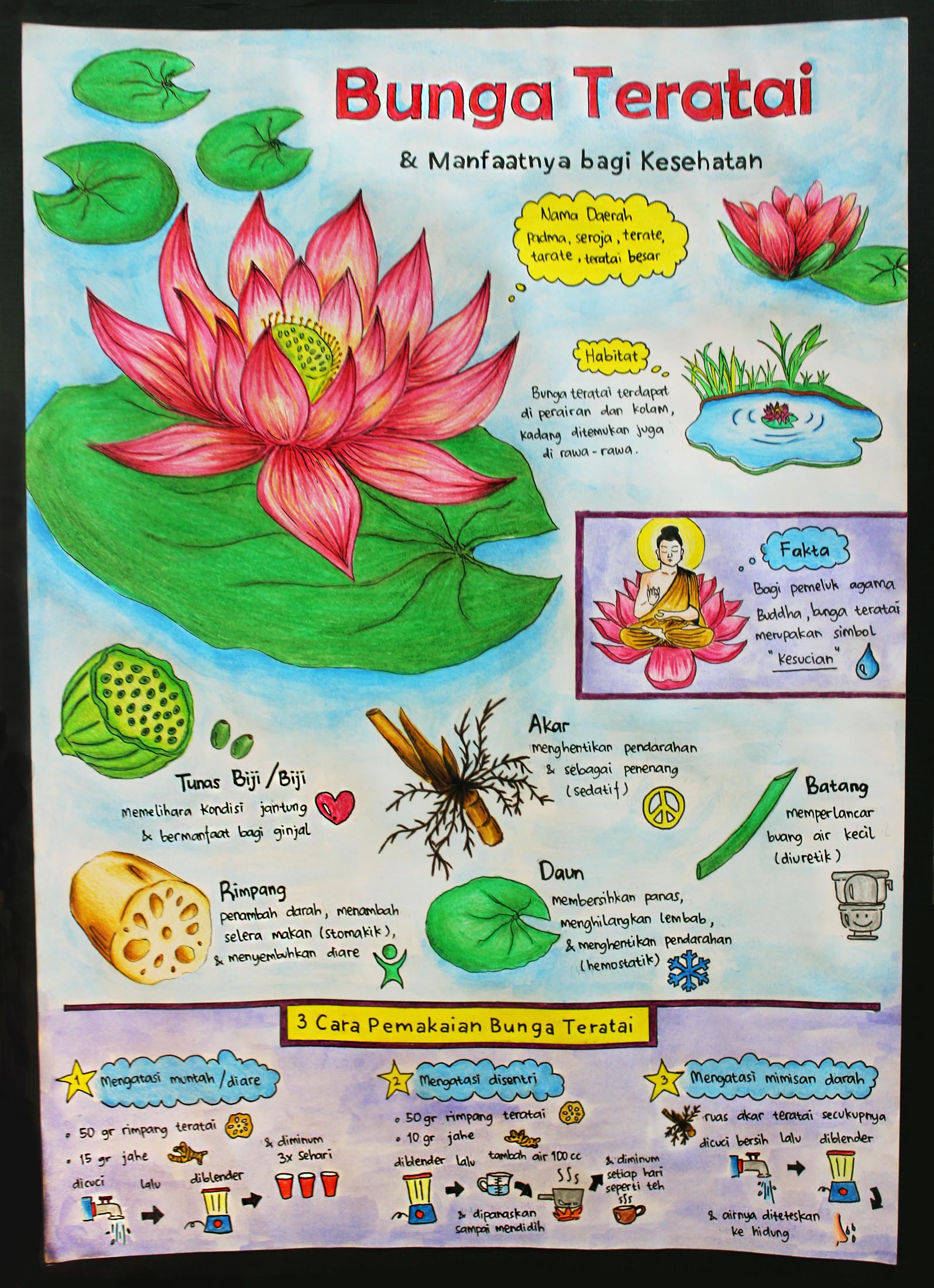 Bunga Teratai & Manfaatnya bagi Kesehatan