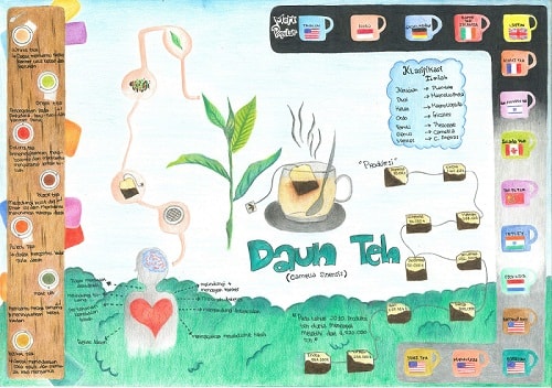 Daun Teh_ChindyK_34130147_3PDK4
