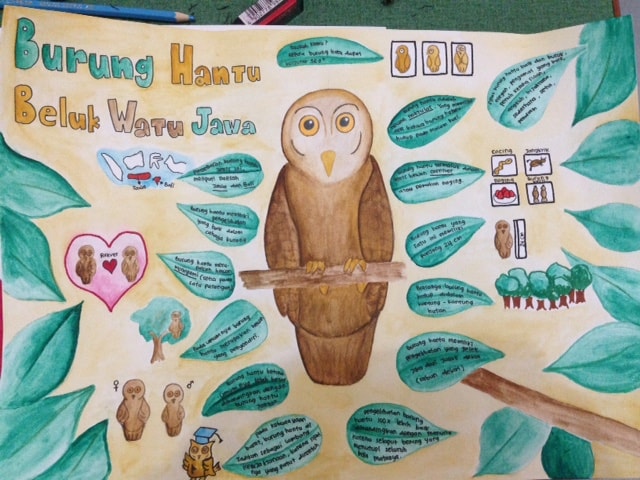 burung hantu beluk watu jawa