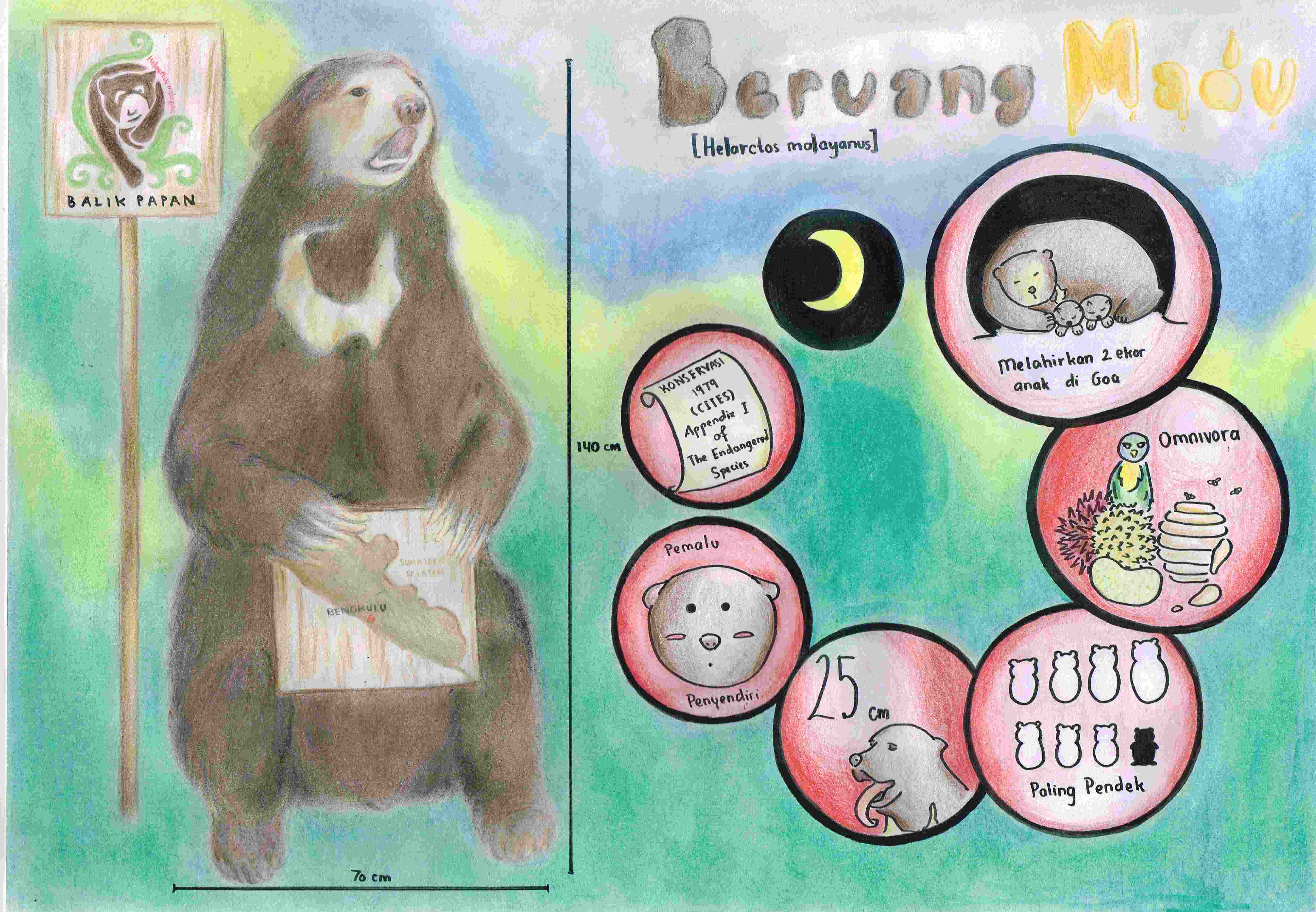 Infografik Beruang Madu