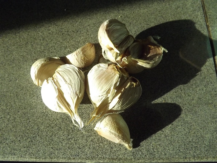 bawang putih