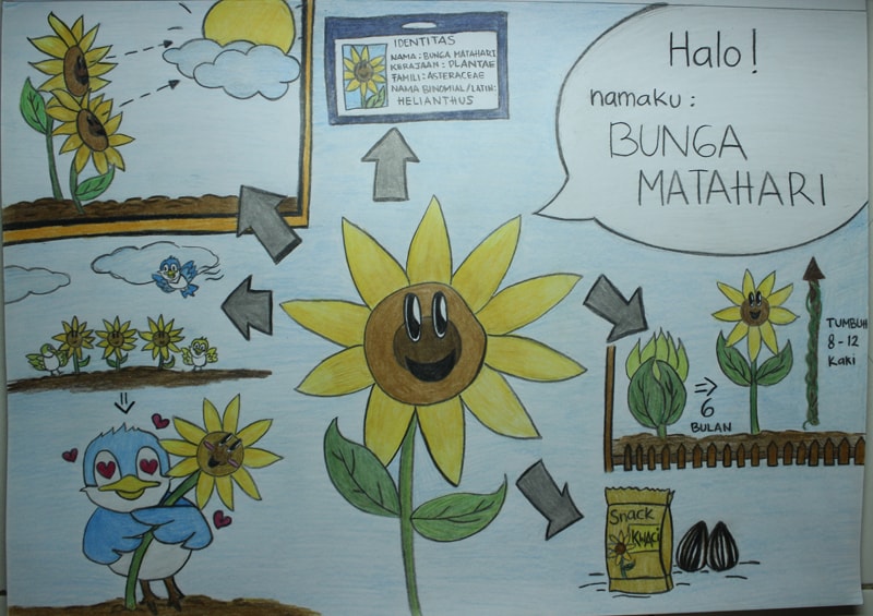 Bunga Matahari