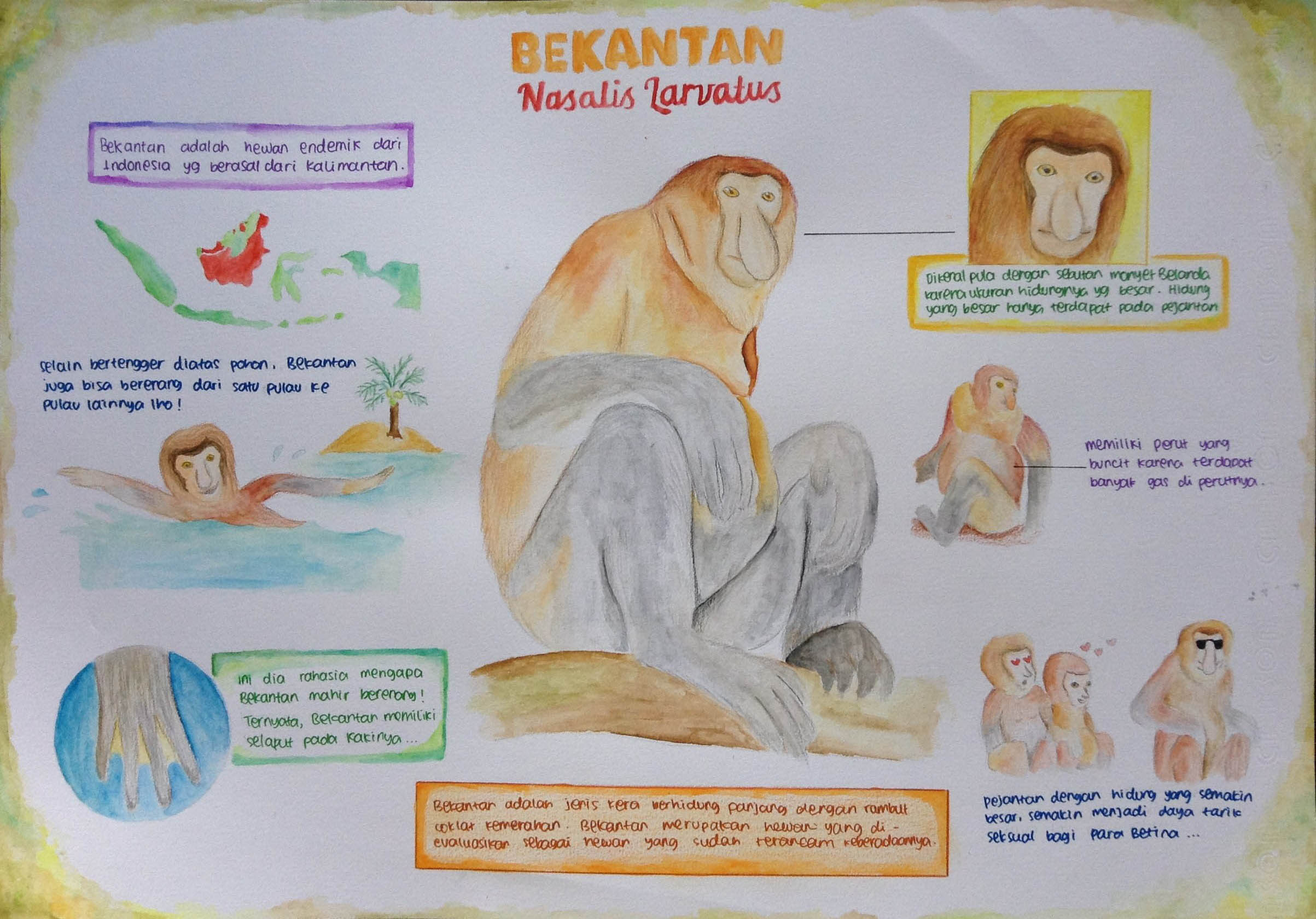 Bekantan