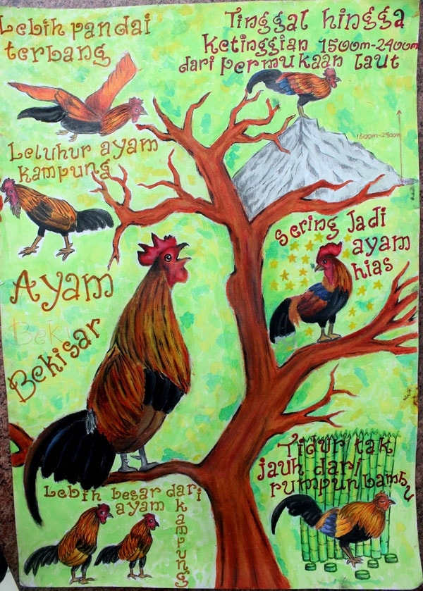 ayam bekisar