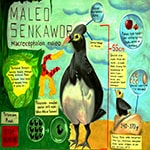 Maleo Senkawor