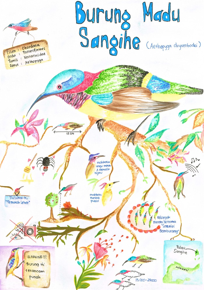 Burung Madu Sangihe