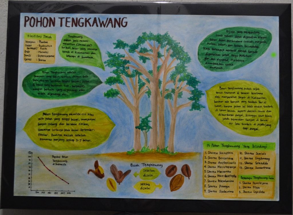 Pohon Tengkawang