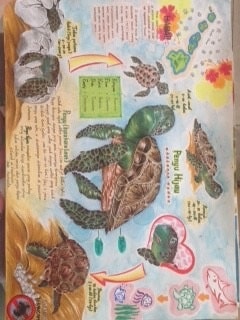 Penyu hijau