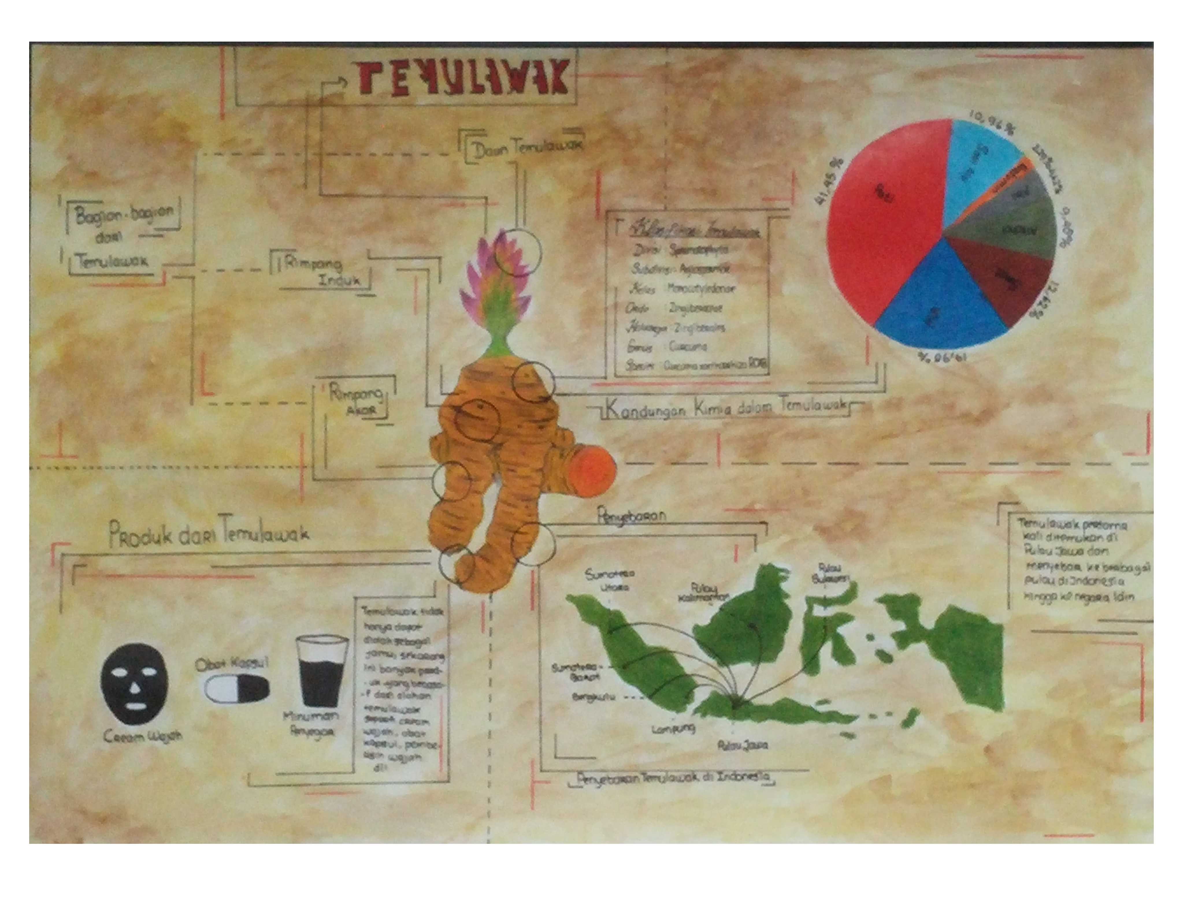 TEMULAWAK