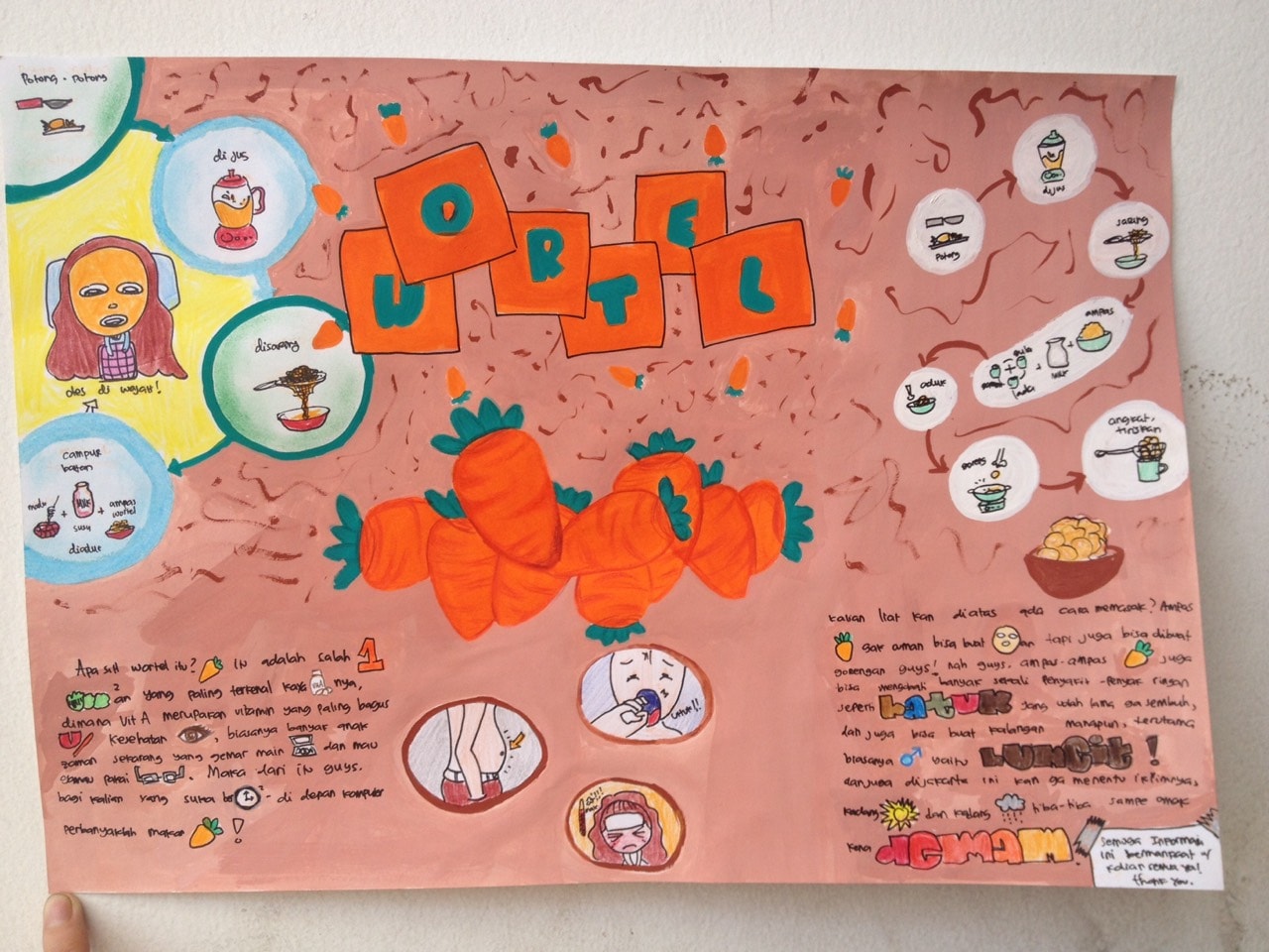 Infografik Wortel