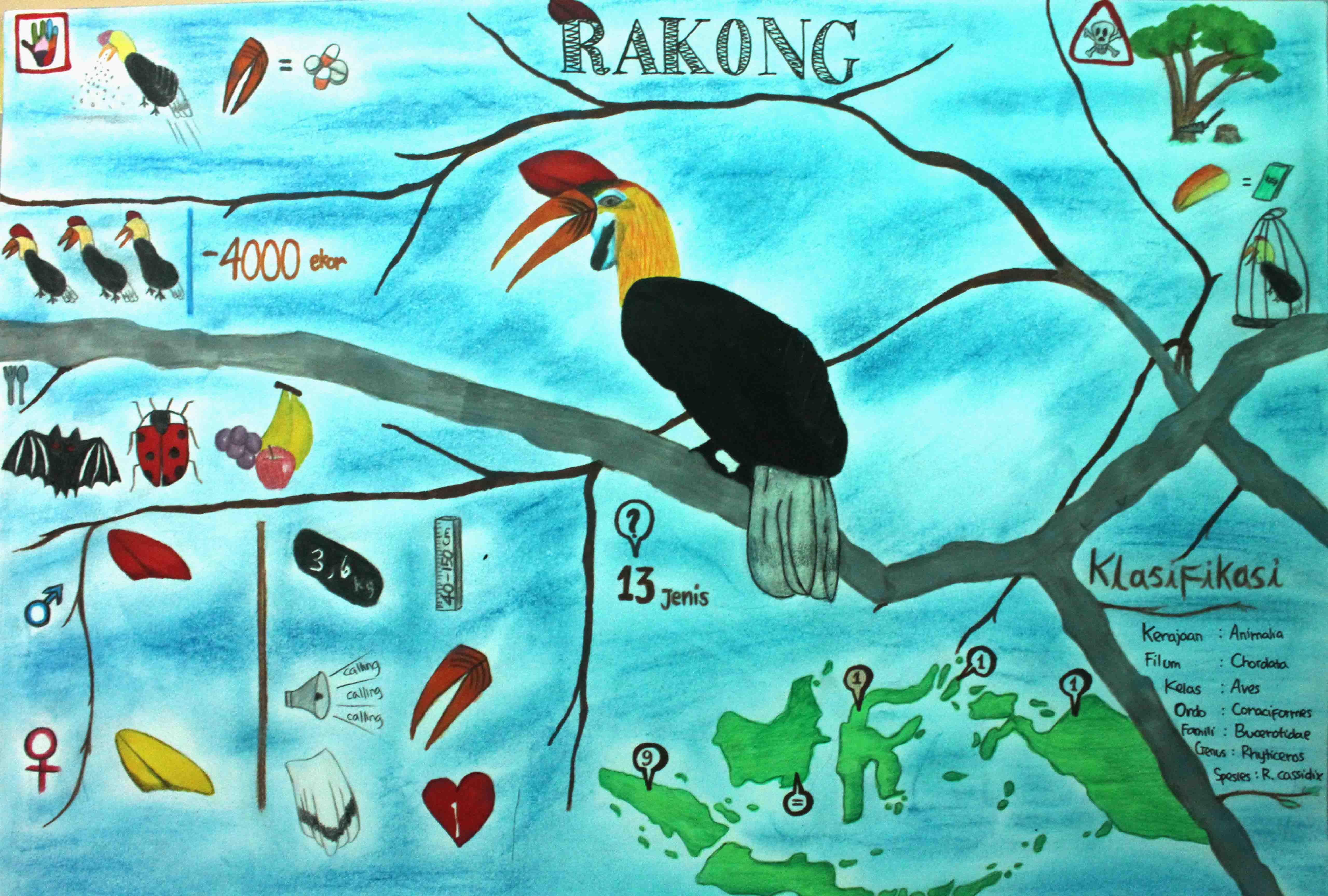 INFOGRAFIK BURUNG RANGKONG