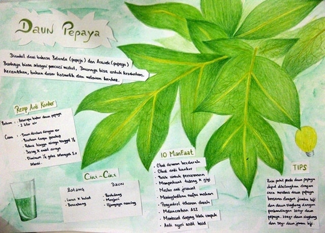 Daun Pepaya