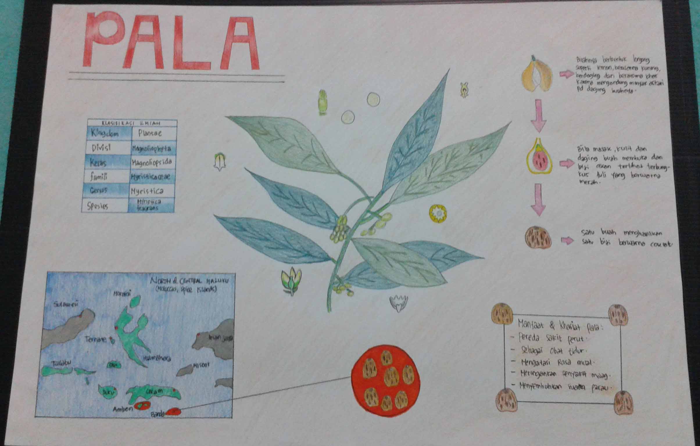 PALA
