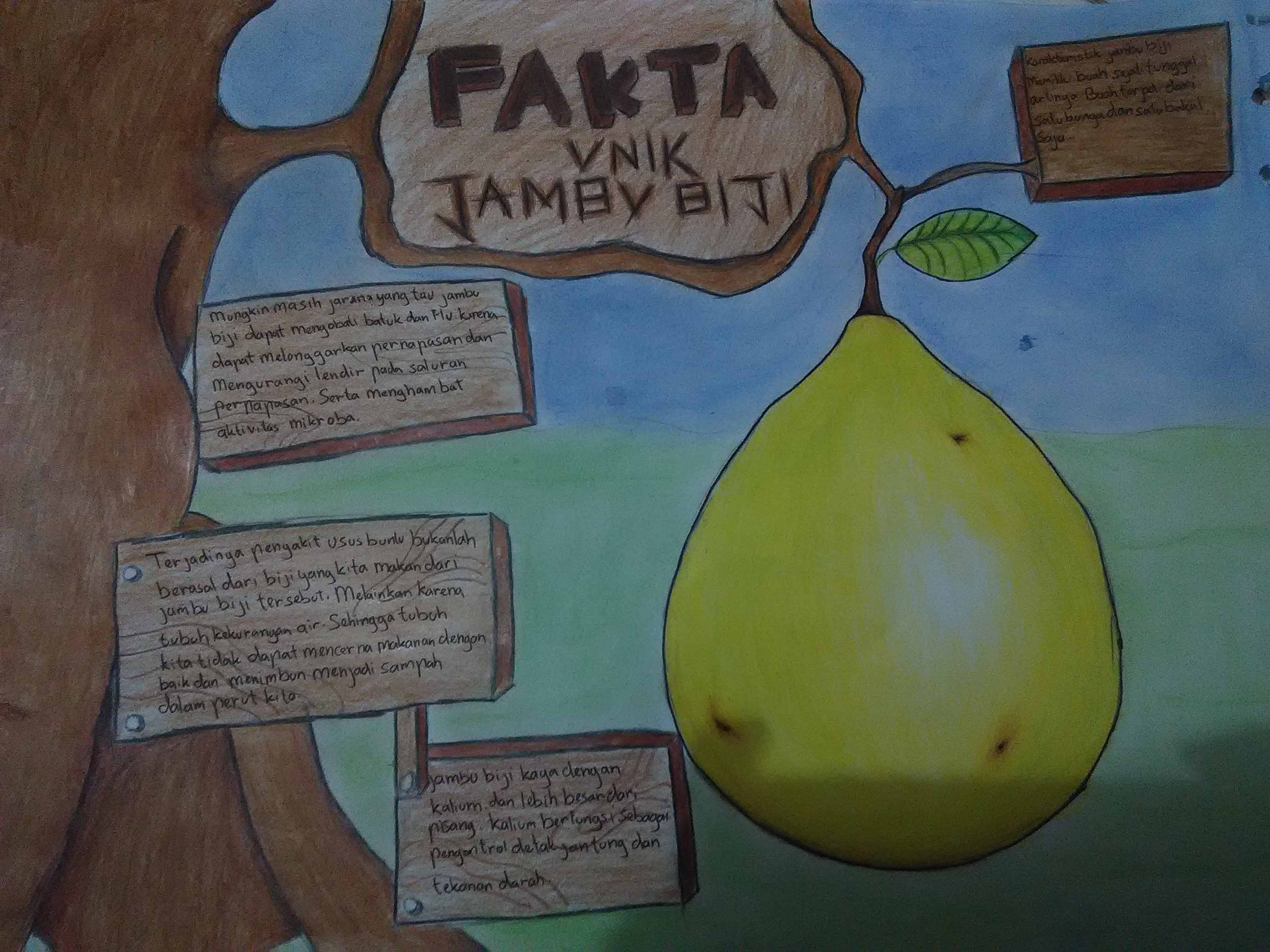 Fakta unik jambu biji