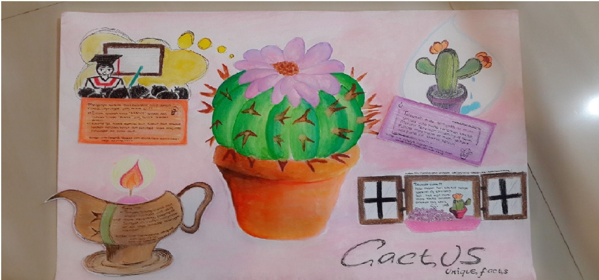 Infografik Cactus Unique Facts