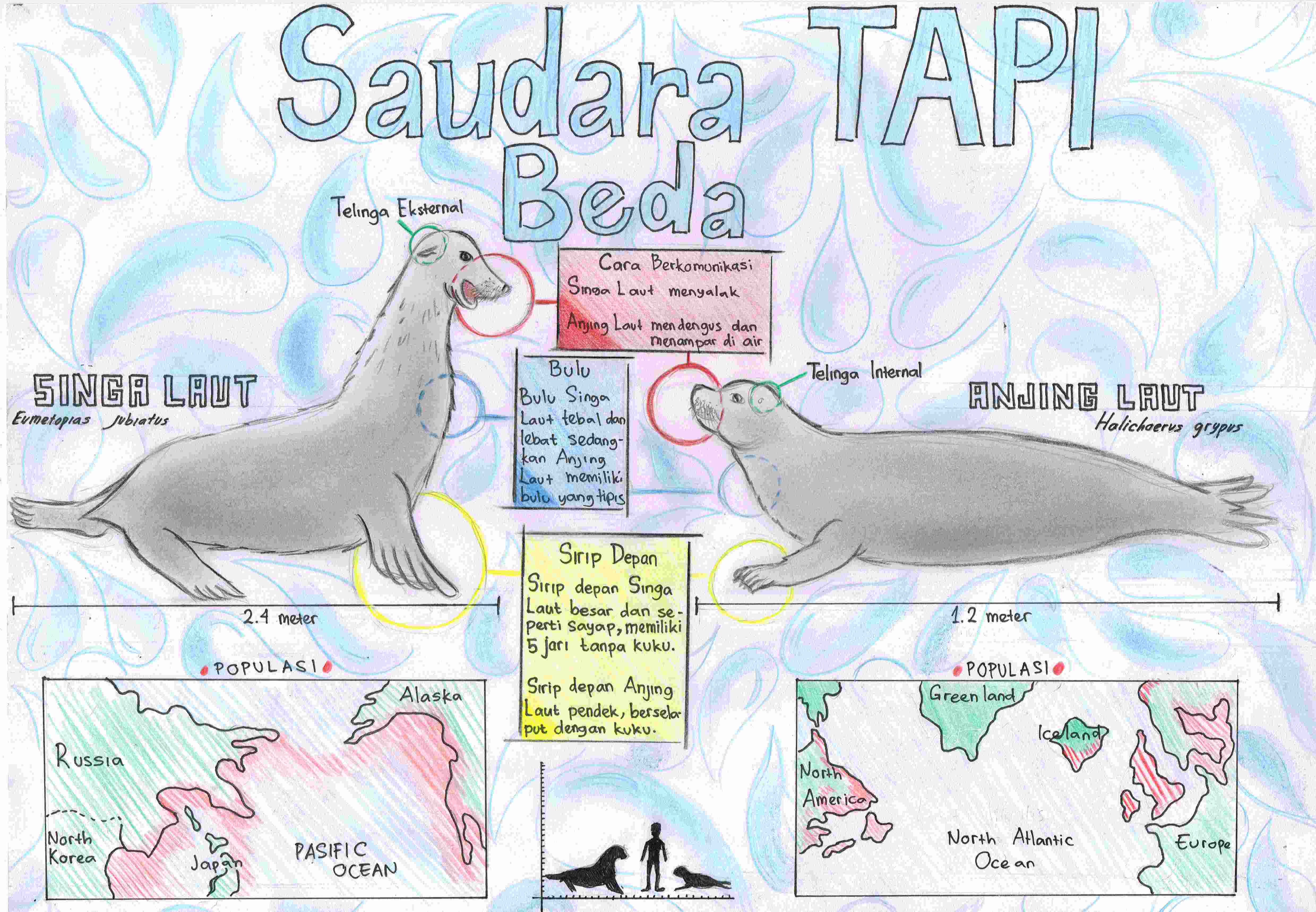 Saudara TAPI Beda (Singa Laut dan Anjing Laut