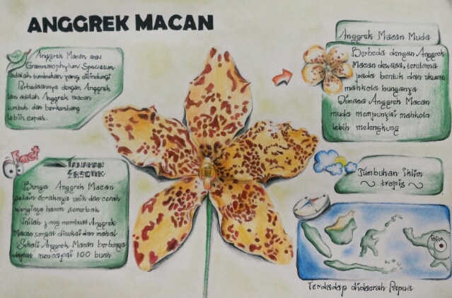anggrek macan dilindungi