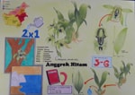 Anggrek Hitam dari Kalimantan Timur