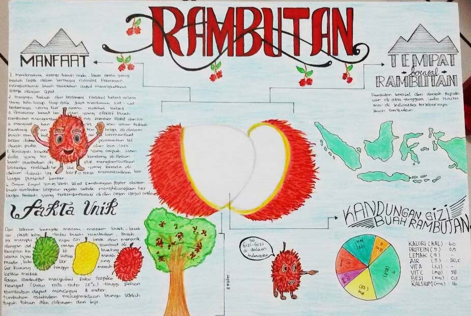 Infografik Rambutan (Nephelium lappaceum)