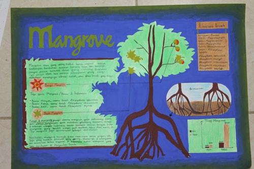 hutan mangrove