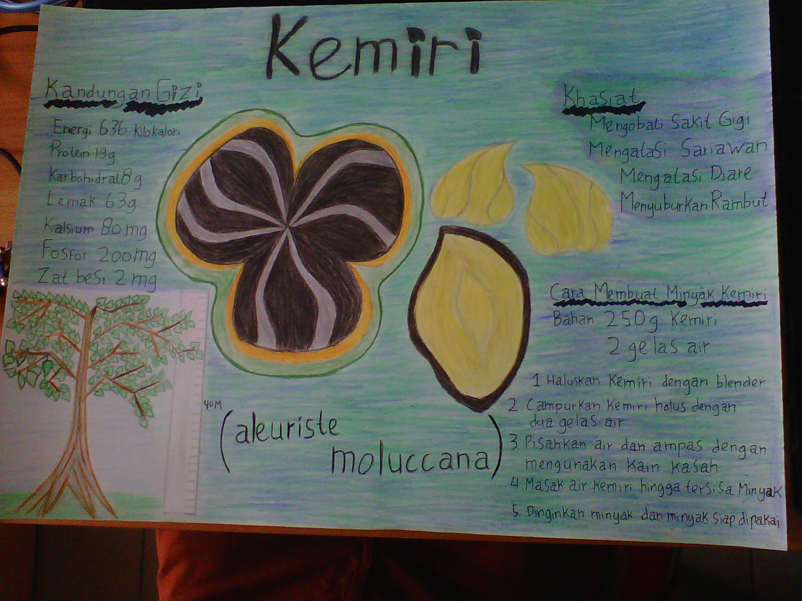kemiri
