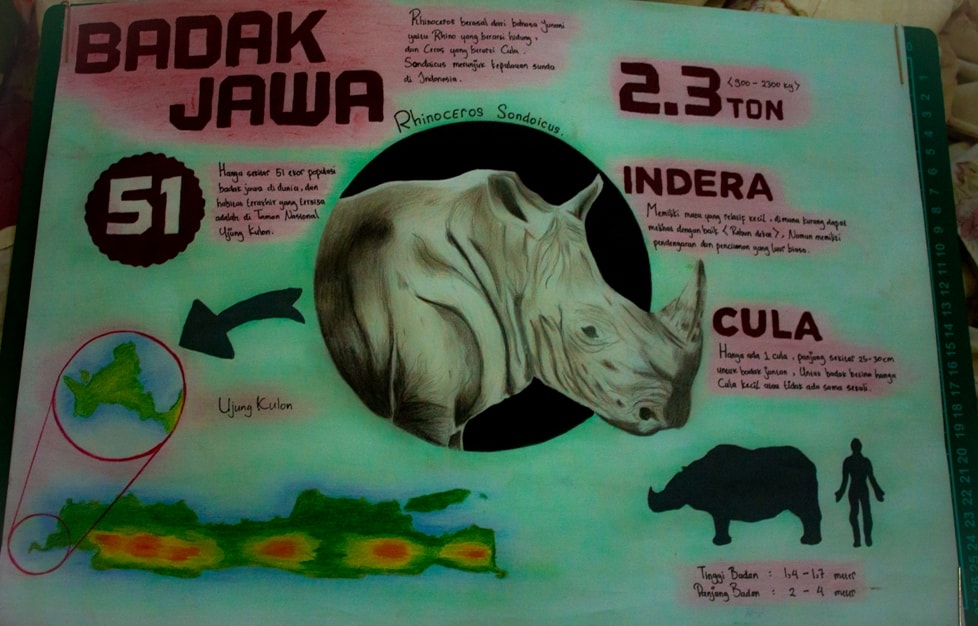 Infografis Badak Jawa oleh Diodorus Arif