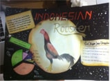ayam jago