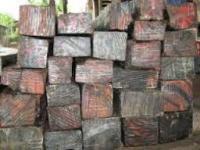 Kayu hitam Sulawesi atau eboni endemik Sulawesi