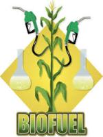 Biofuel