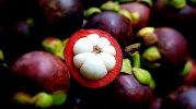 Queen fruit atau manggis