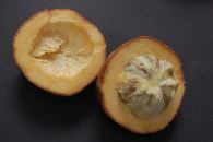 Buah Mentega  (Bisbul)