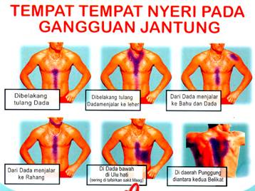 jantung