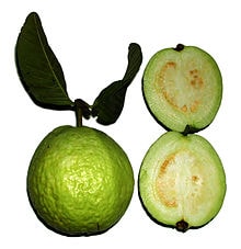 Daun dan buah jambu biji “sebagai obat diare yang mujarab”