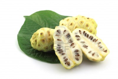mengkudu