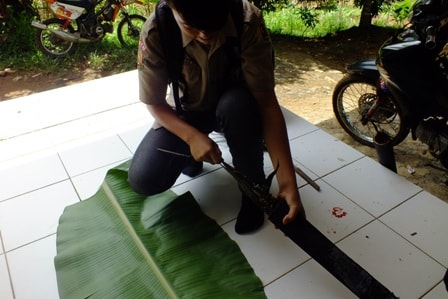 LEMENG