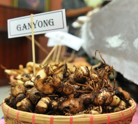 Ganyong