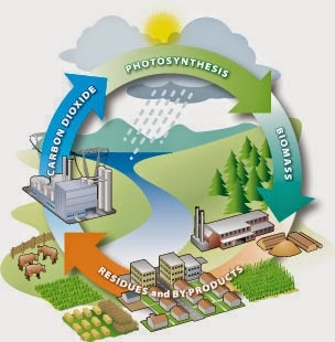 Sustainable Bioenergy Based Biomass for Greening Indonesia