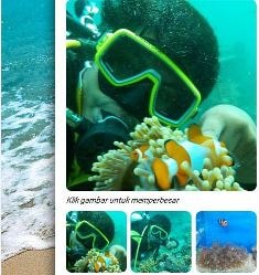 Beragam Jenis Anemon Laut Pada Ekosistem Terumbu Karang Sebagai Sumberdaya Potensial Di Perairan Kepulauan Spermonde Indonesia
