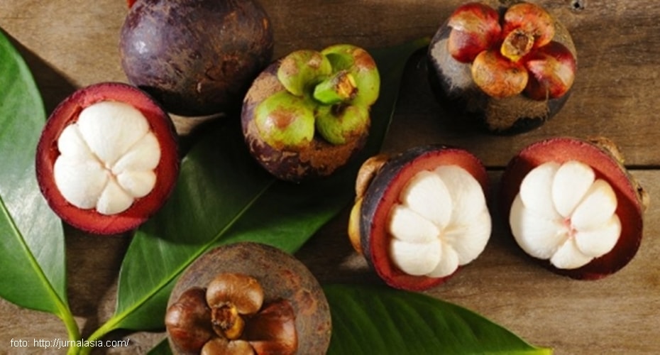 Keseragaman Buah Manggis Karena Apomiksis