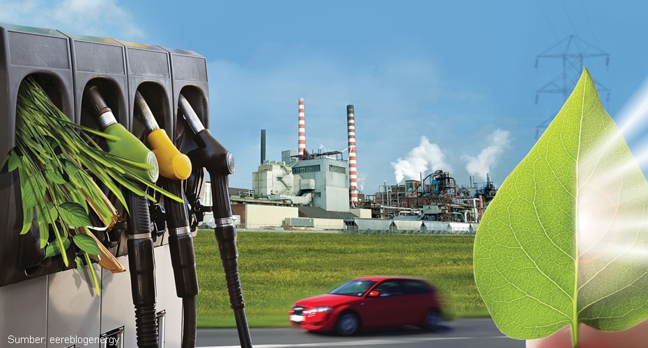 Potensi Bioenergi Untuk Mengatasi Krisis Energi