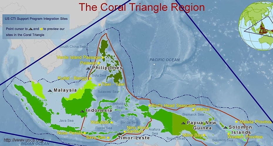 Indonesia Bagian dari Wilayah The Coral Triangle