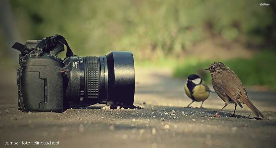 2015 Sony World Photography Awards – Call for Entries