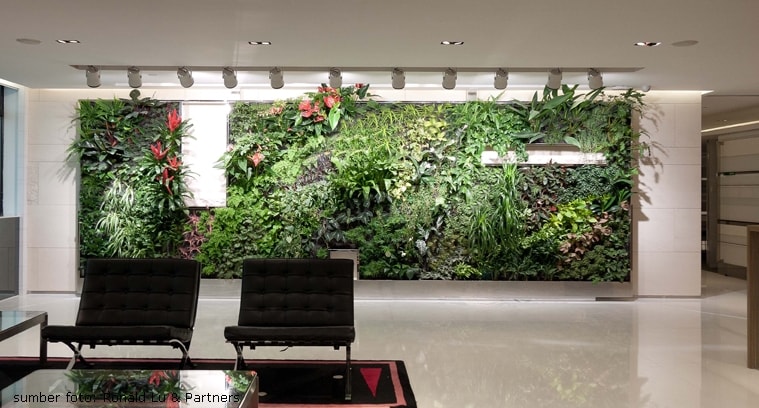 Rumah sejuk dan hijau dengan vertical garden