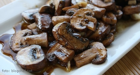 Potensi budidaya jamur liar edible