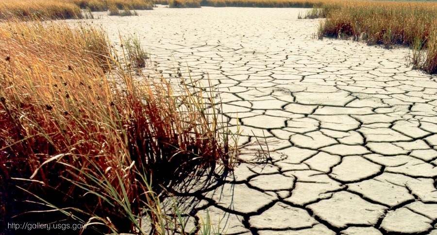 Indonesia Climate Alliance √¢‚Ç¨‚Äú Climate Week 2015