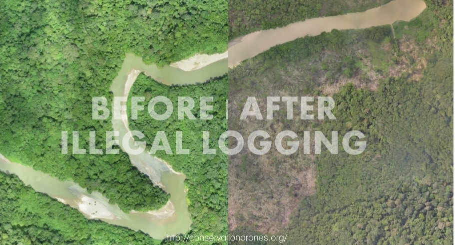 Tahun depan 40 Drone akan Menjaga Hutan Indonesia