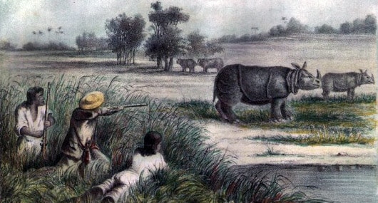 Lima Hewan Mamalia Langka dari Penjuru Indonesia